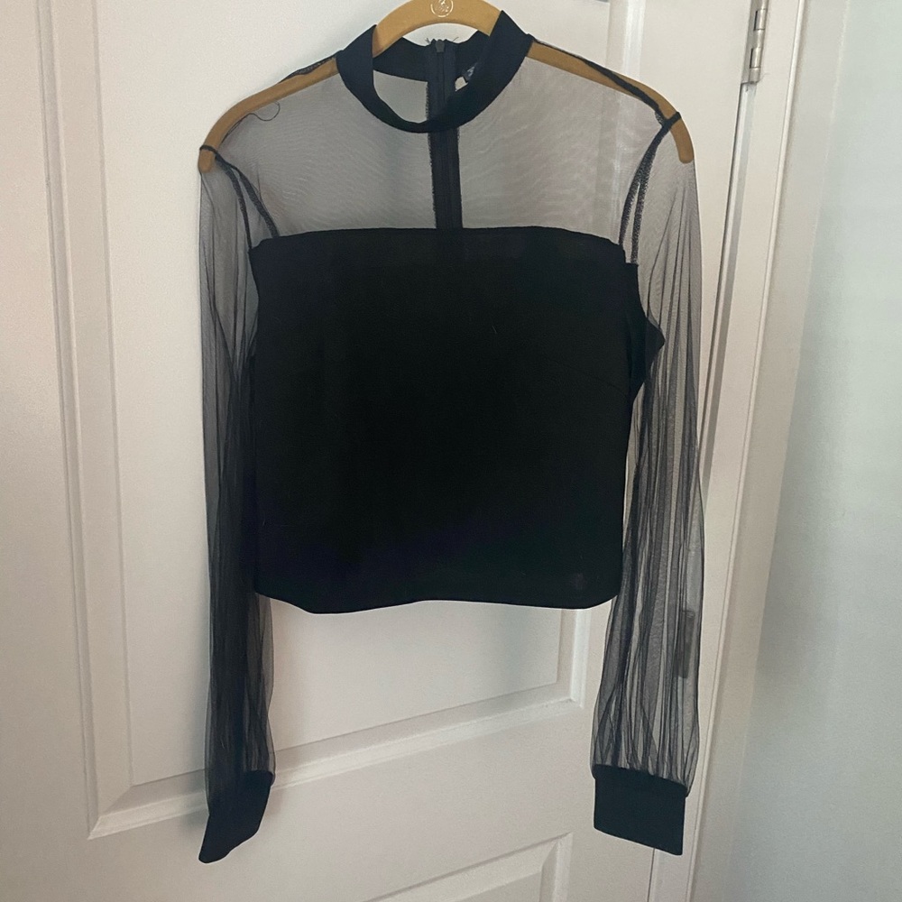 Trendy Shein Black Sheer Long-Sleeve Top